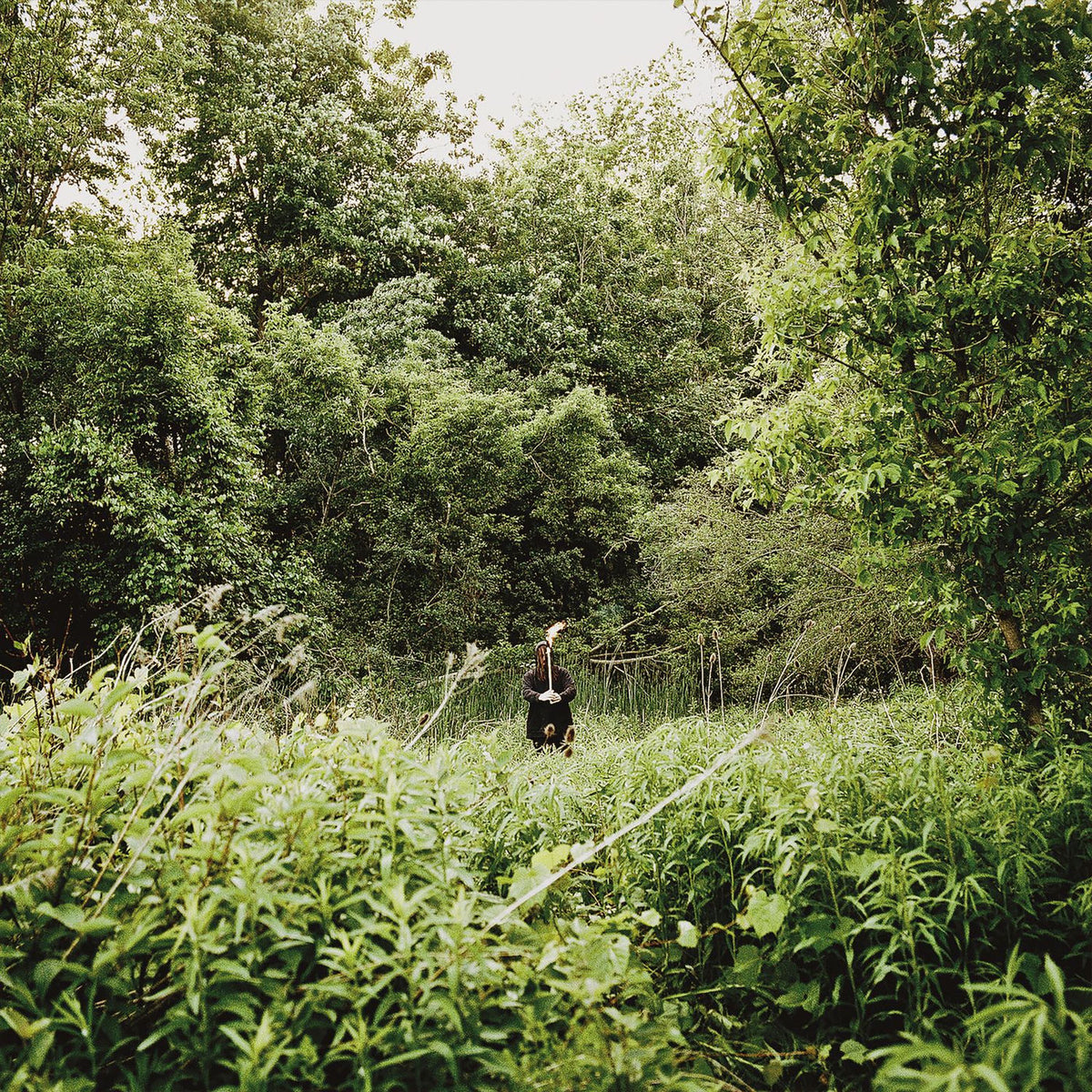 Exalt – Pale Light vinyl record cover