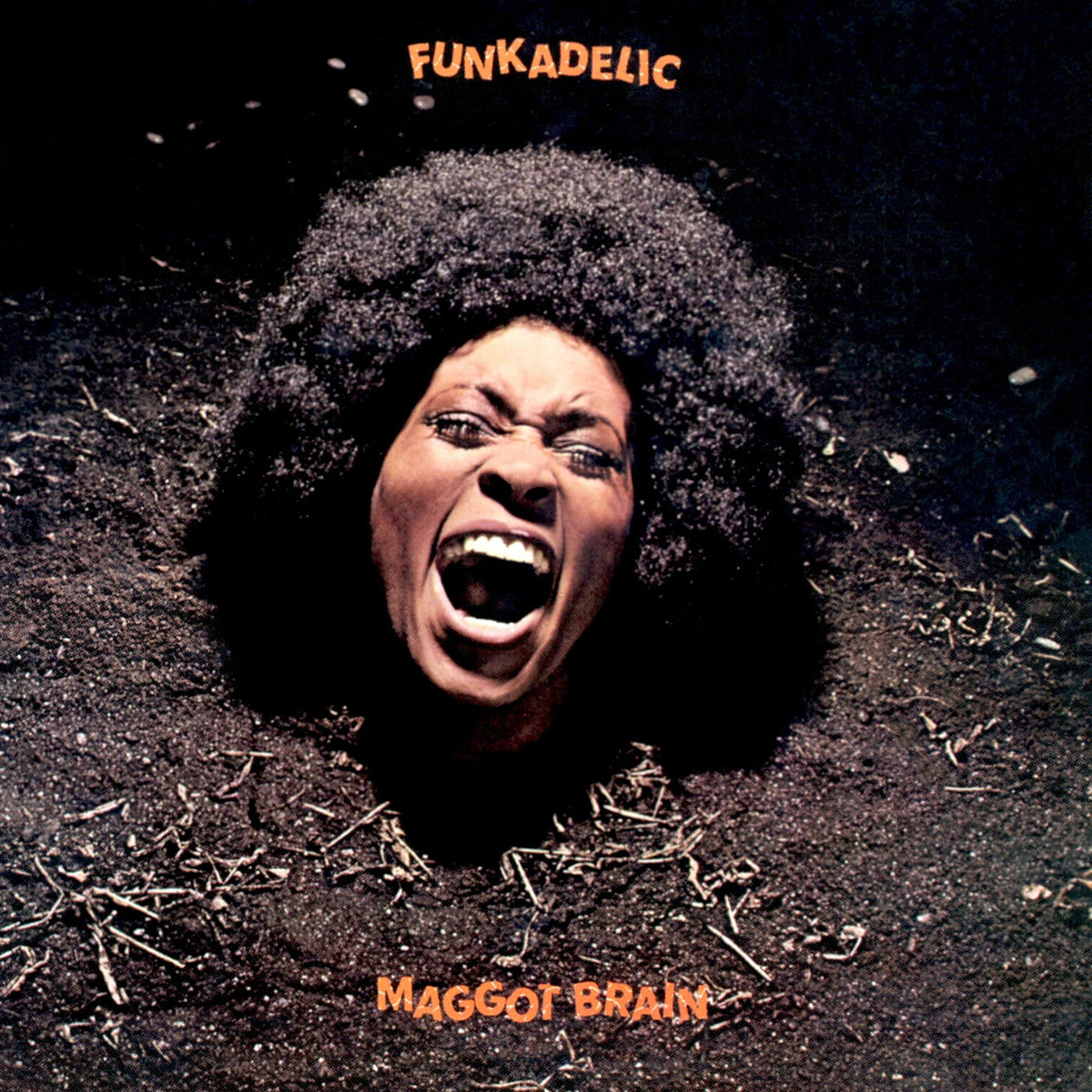 Funkadelic – Maggot Brain vinyl record cover
