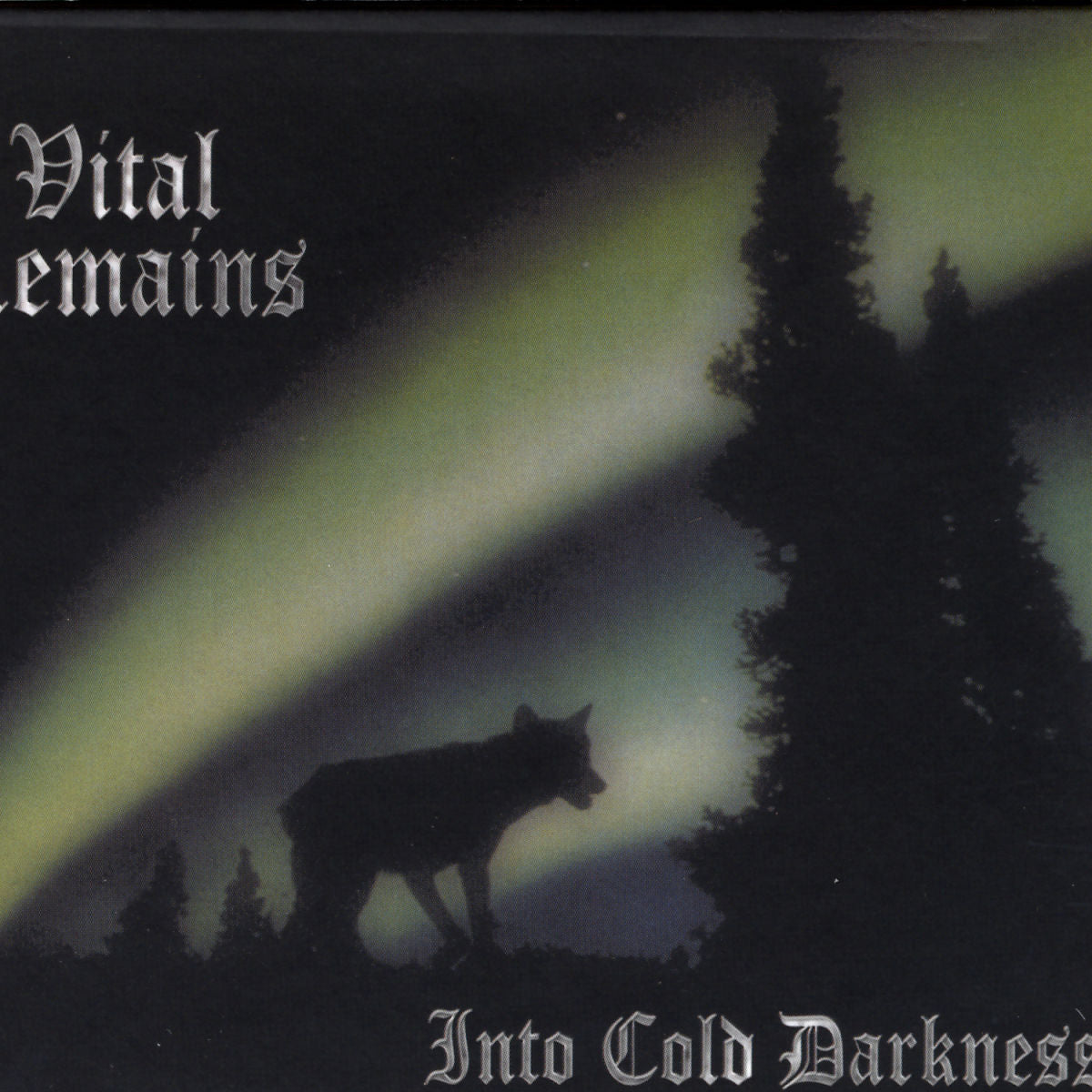 Vital Remains – Into Cold Darkness vinyl cover