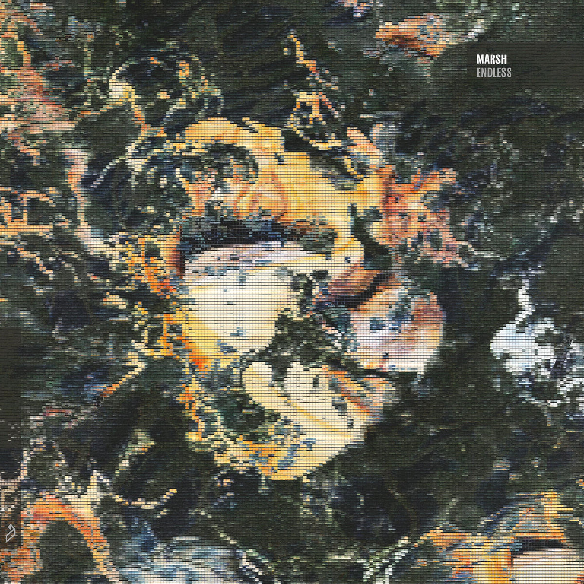 Marsh – Endless vinyl record cover