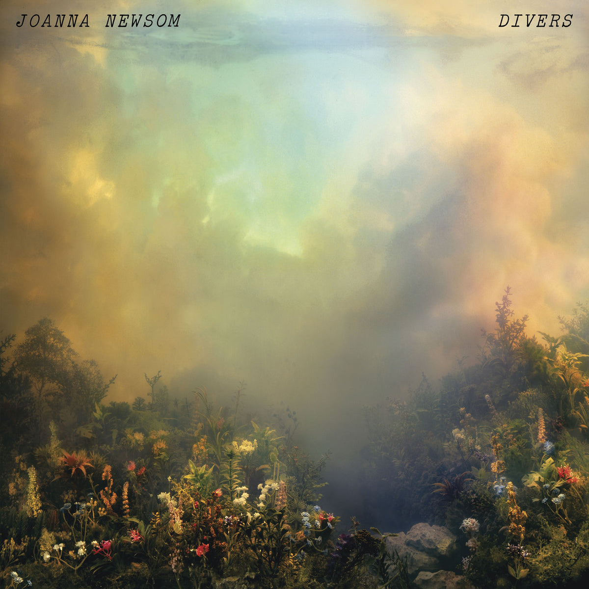 Joanna Newsom – Divers vinyl record cover