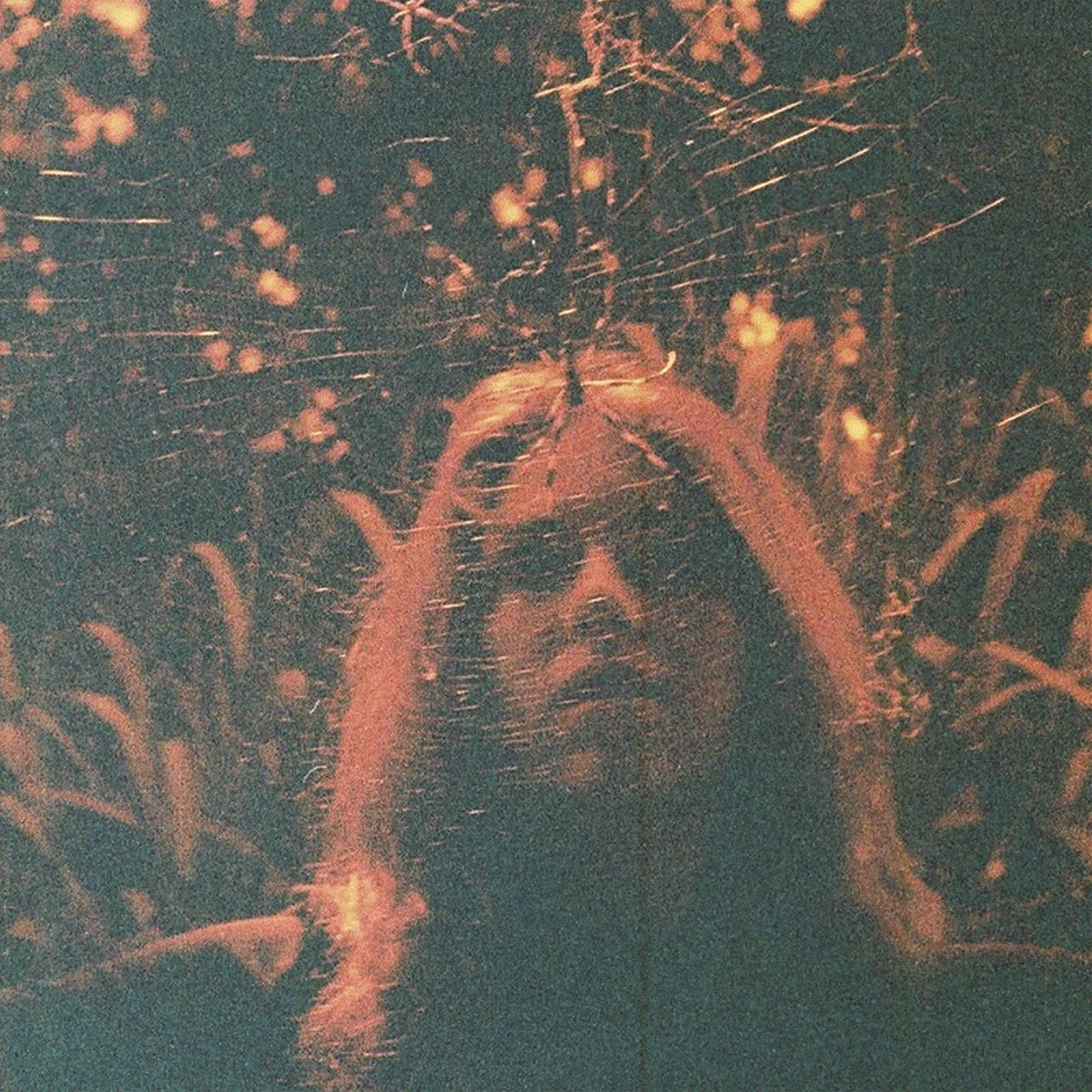 Turnover – Peripheral Vision (CLEAR ORANGE) vinyl record cover