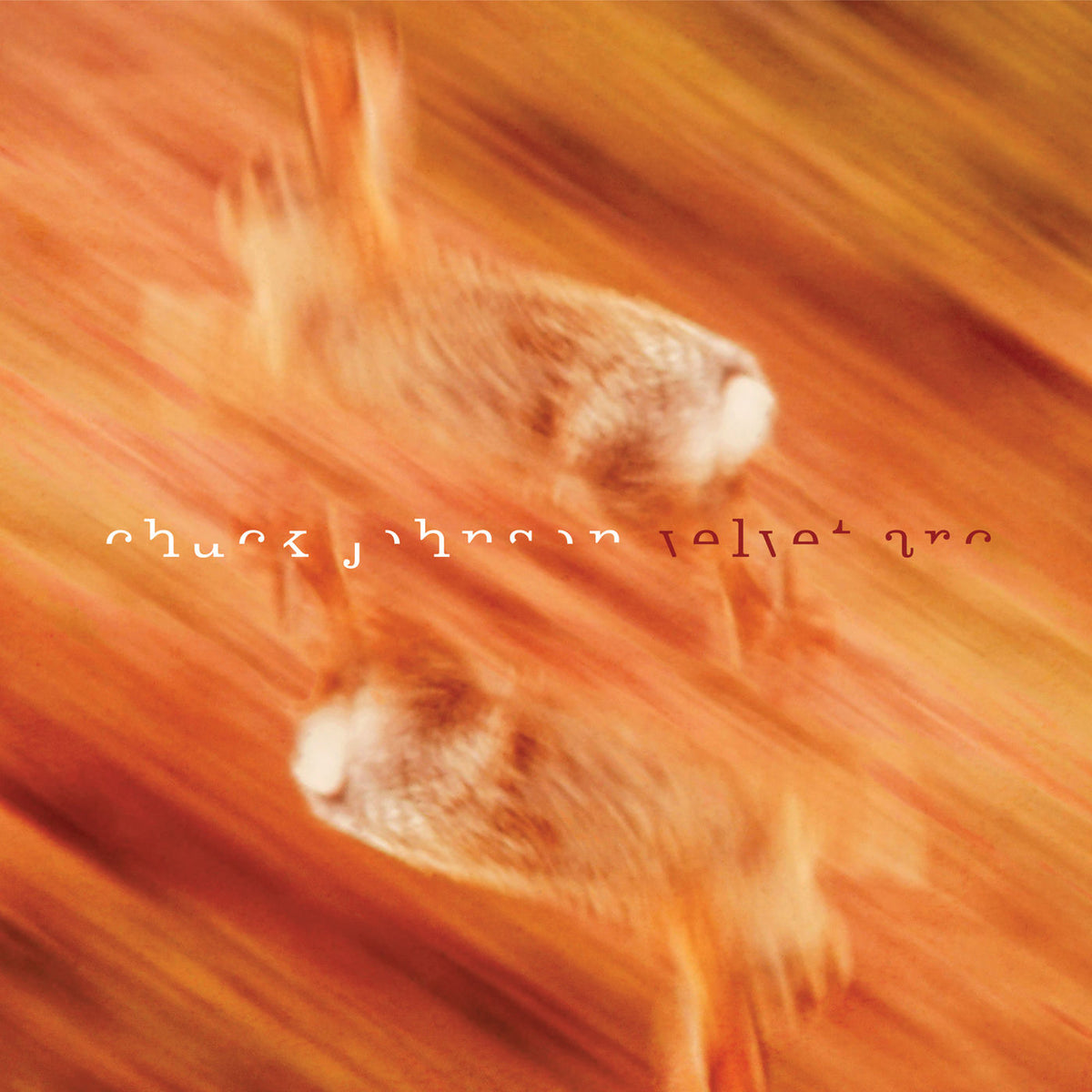 Chuck Johnson – Velvet Arc vinyl cover