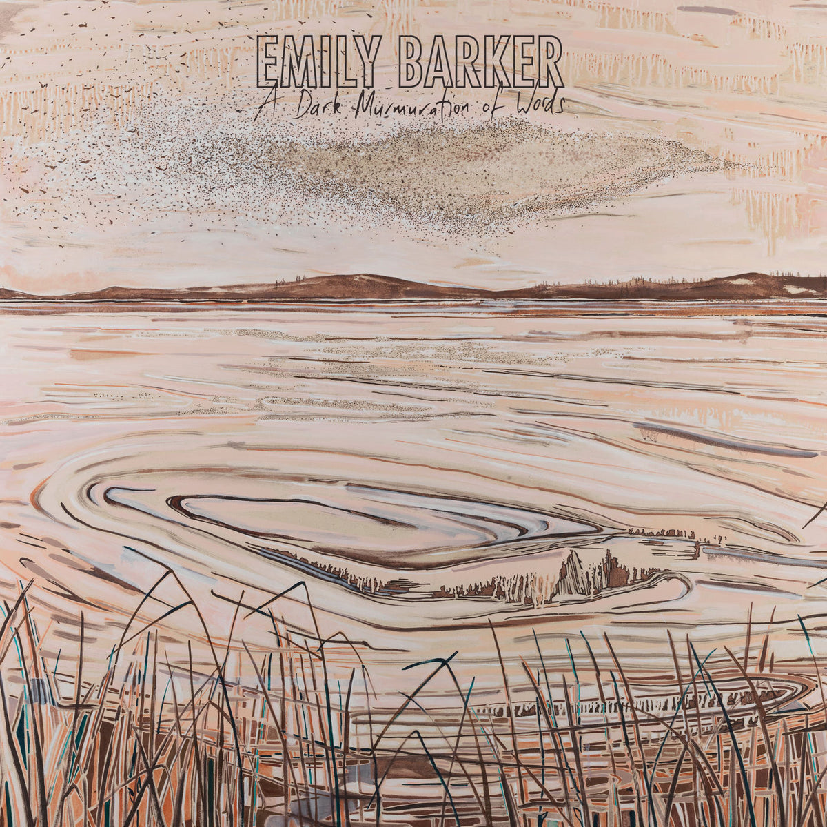 Emily Barker – A Dark Murmuration of Words vinyl record cover