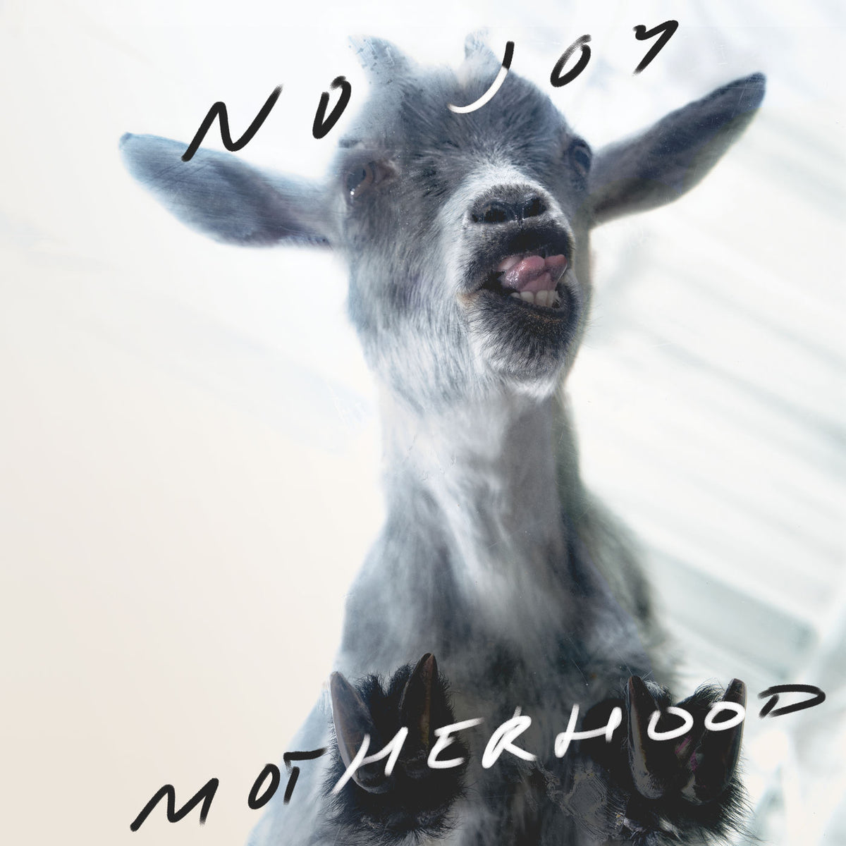 No Joy – Motherhood (Neon Violet Vinyl) vinyl record cover