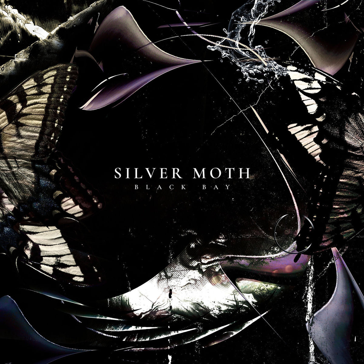 Silver Moth – Black Bay vinyl record cover