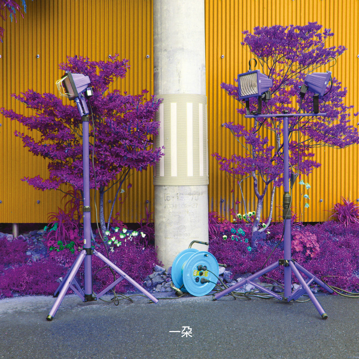 Eiko Ishibashi – Ichida vinyl cover