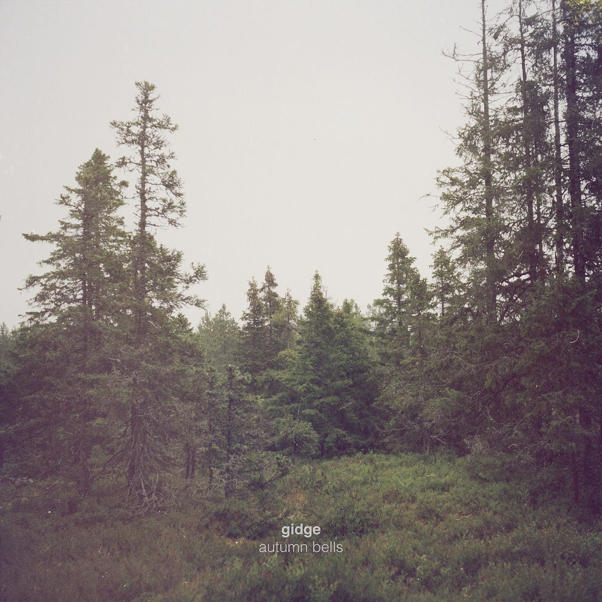 Gidge – Autumn Bells vinyl record cover