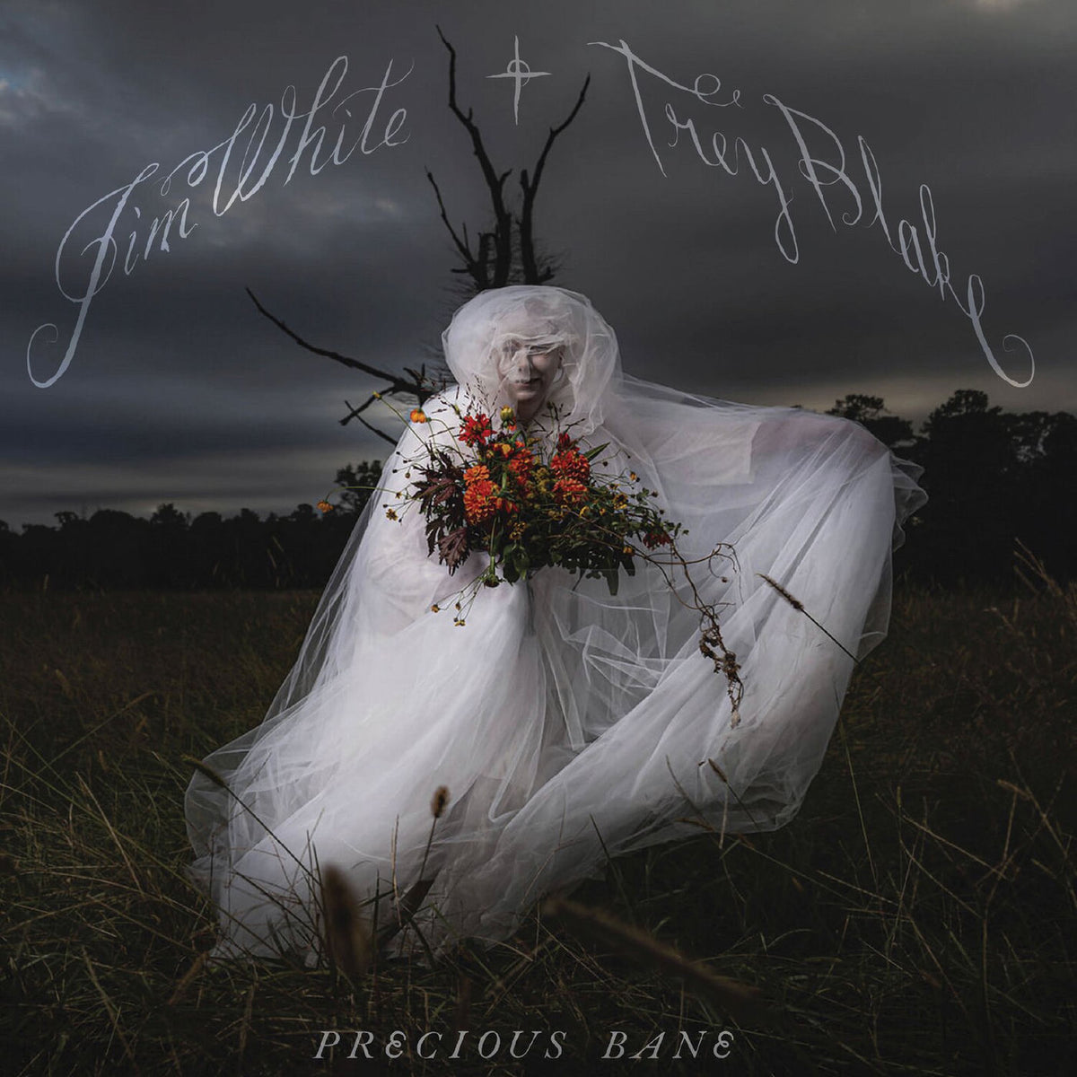 Jim White – Precious Bane vinyl cover