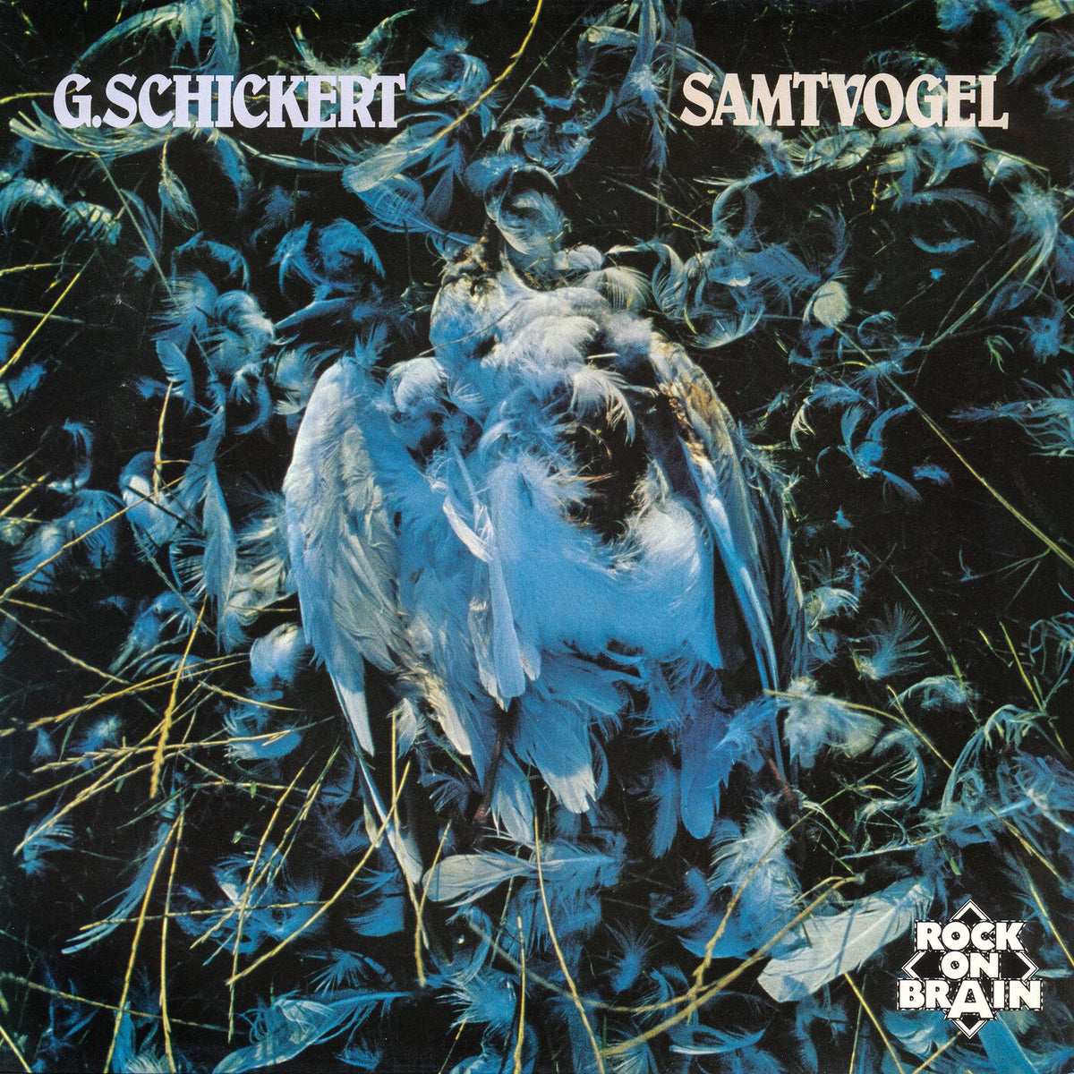 Gunter Schickert – Samtvogel vinyl record cover