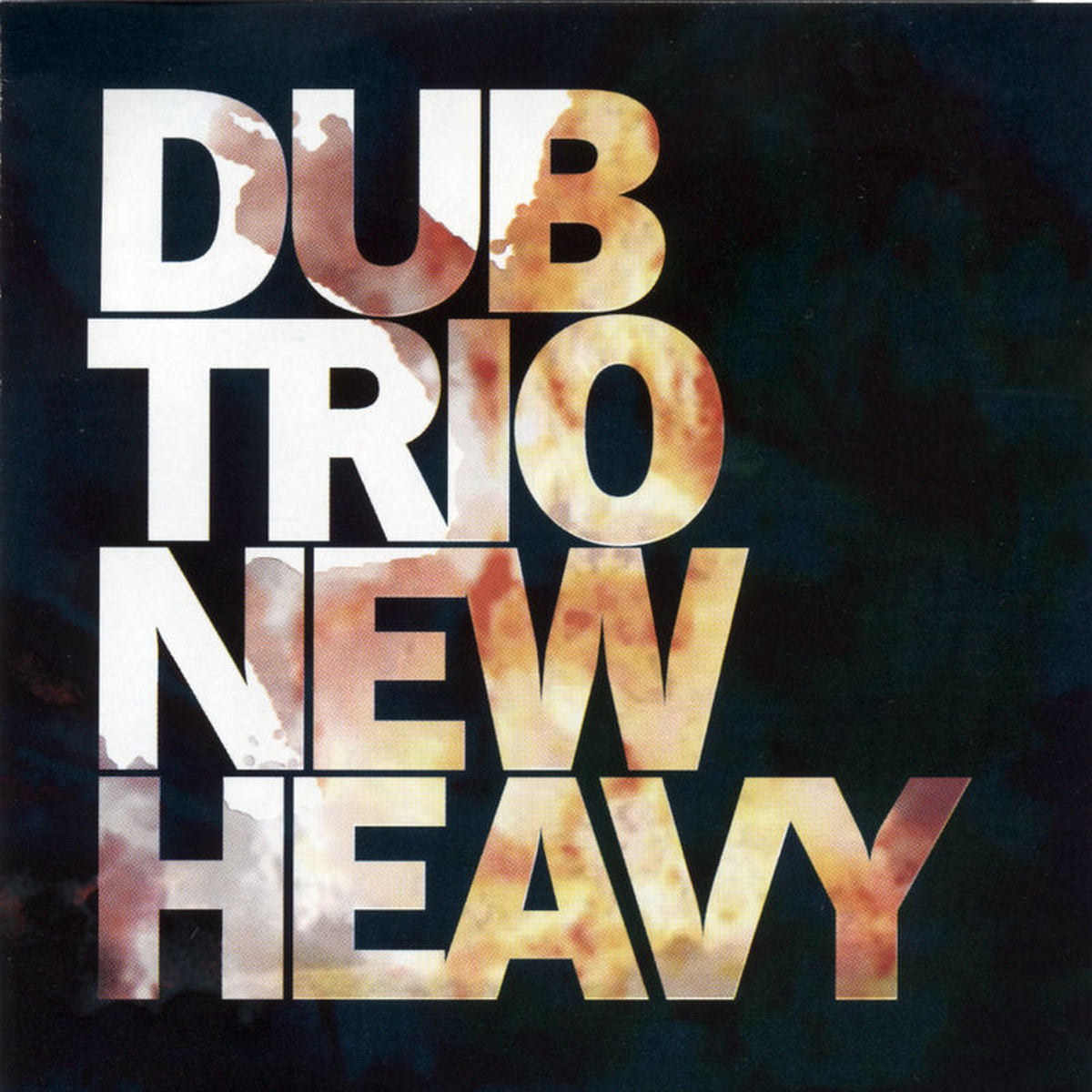 Dub Trio – New Heavy vinyl record cover