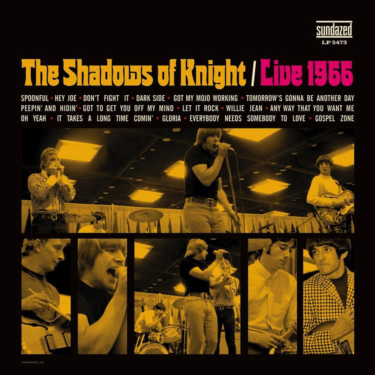 Shadows Of Knight – Live 1966 vinyl cover