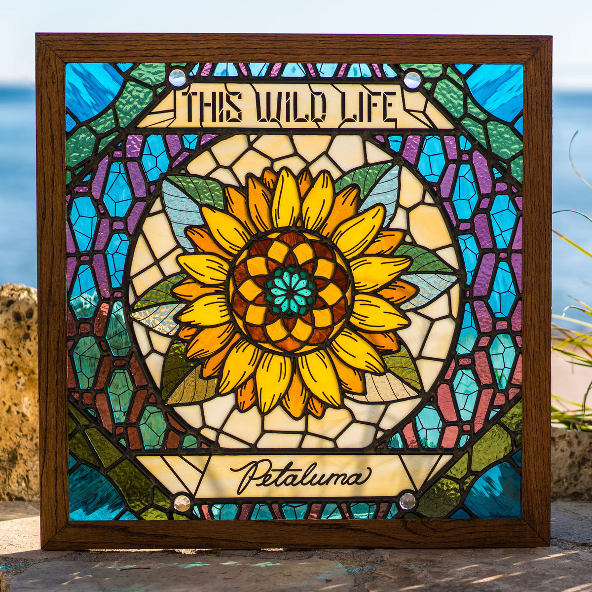 This Wild Life – Petaluma vinyl record cover