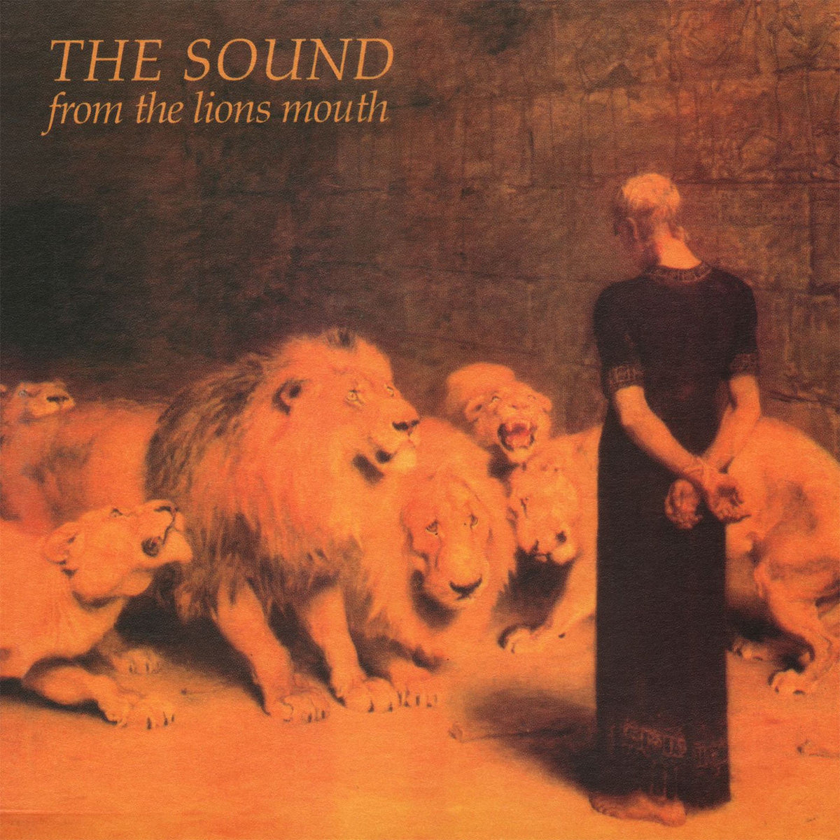 The Sound – From the Lions Mouth vinyl record cover