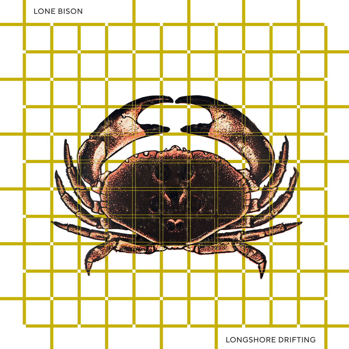 Lone Bison – Longshore Drifting vinyl cover