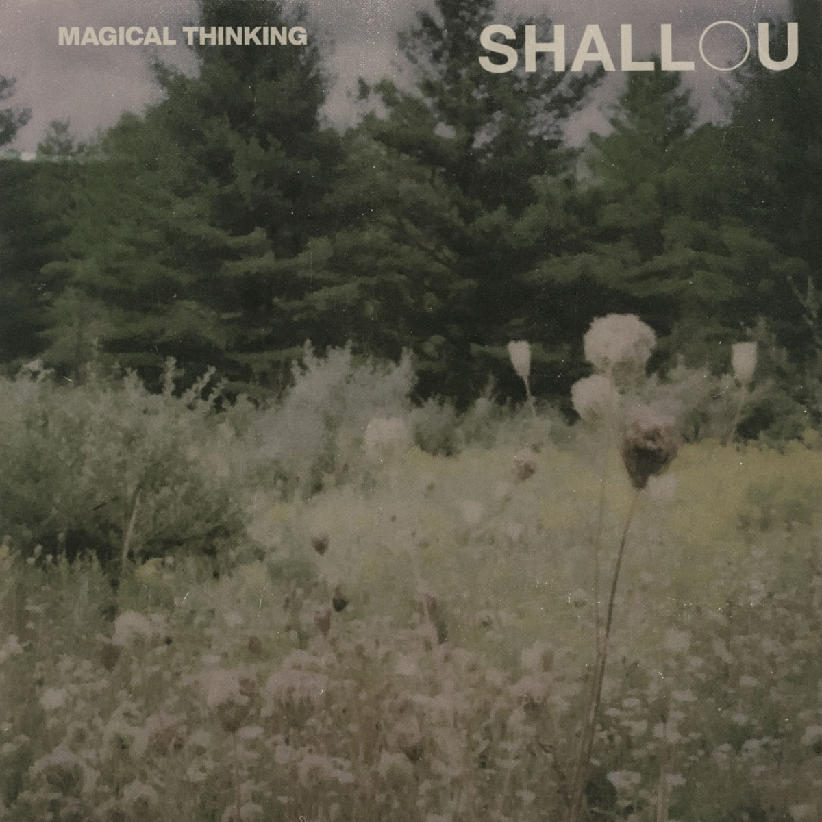 Shallou – Magical Thinking vinyl record cover