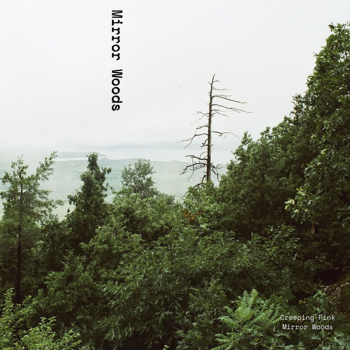 Creeping Pink – Mirror Woods vinyl record cover