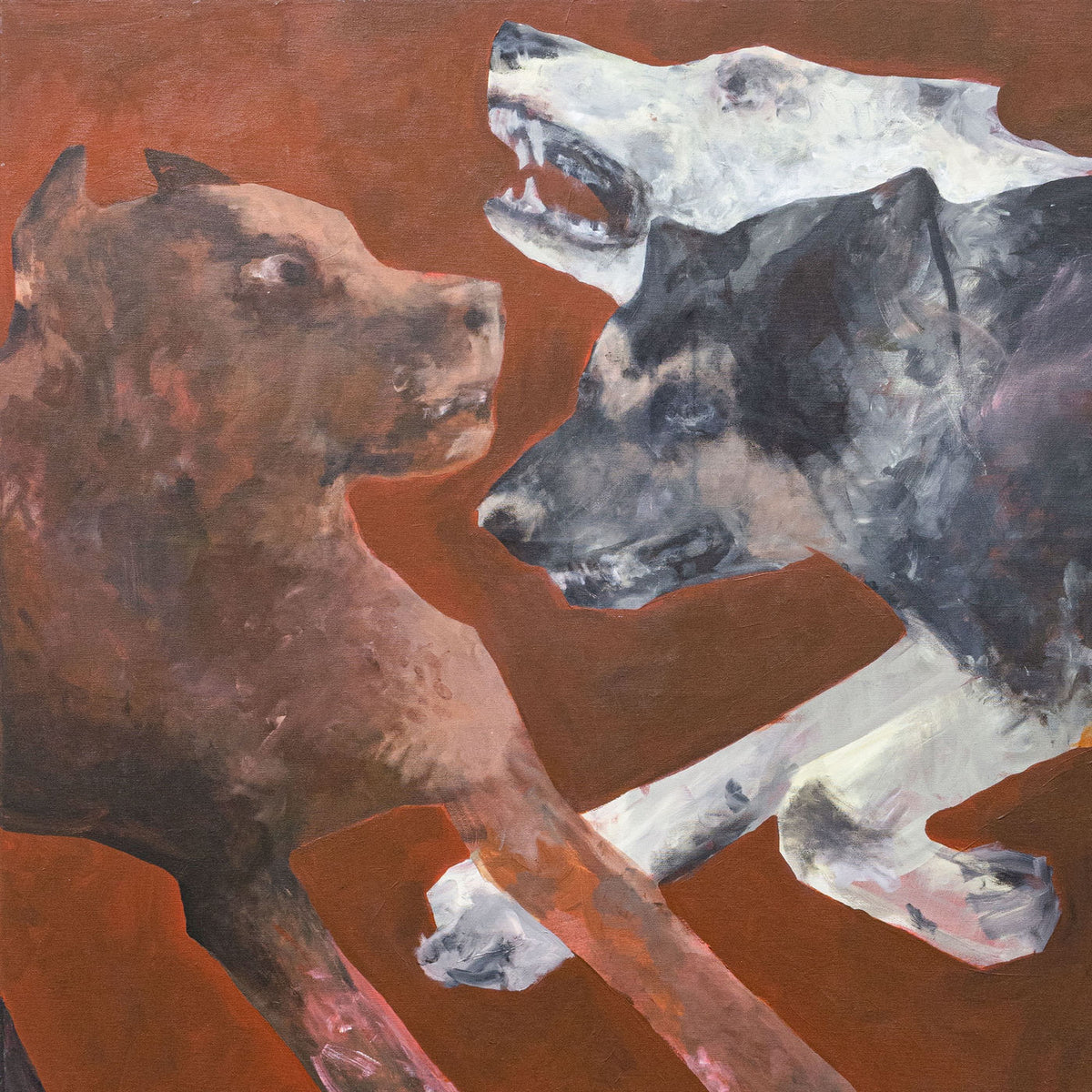 81355 – Bad Dogs vinyl record cover