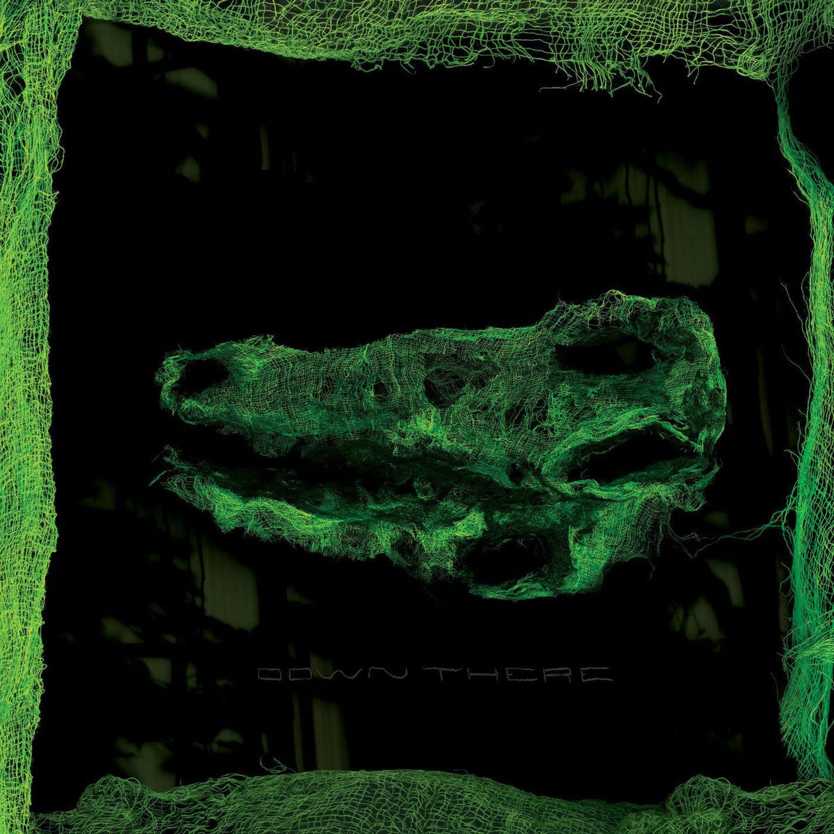 Avey Tare – Down There vinyl record cover