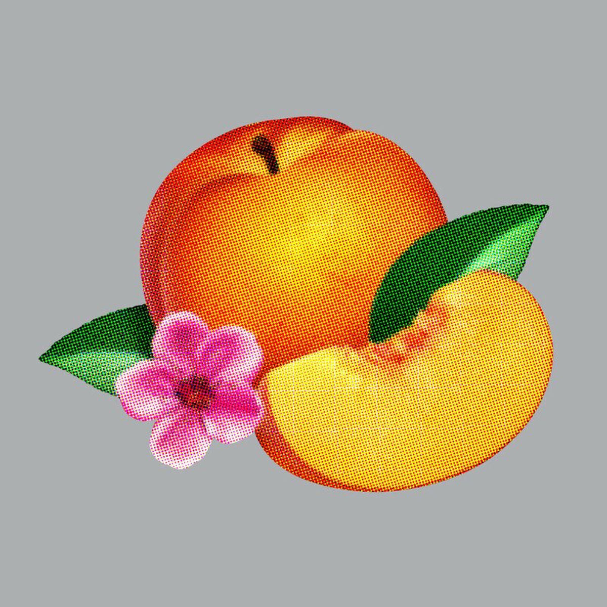 Phoenix – Bankrupt! vinyl record cover