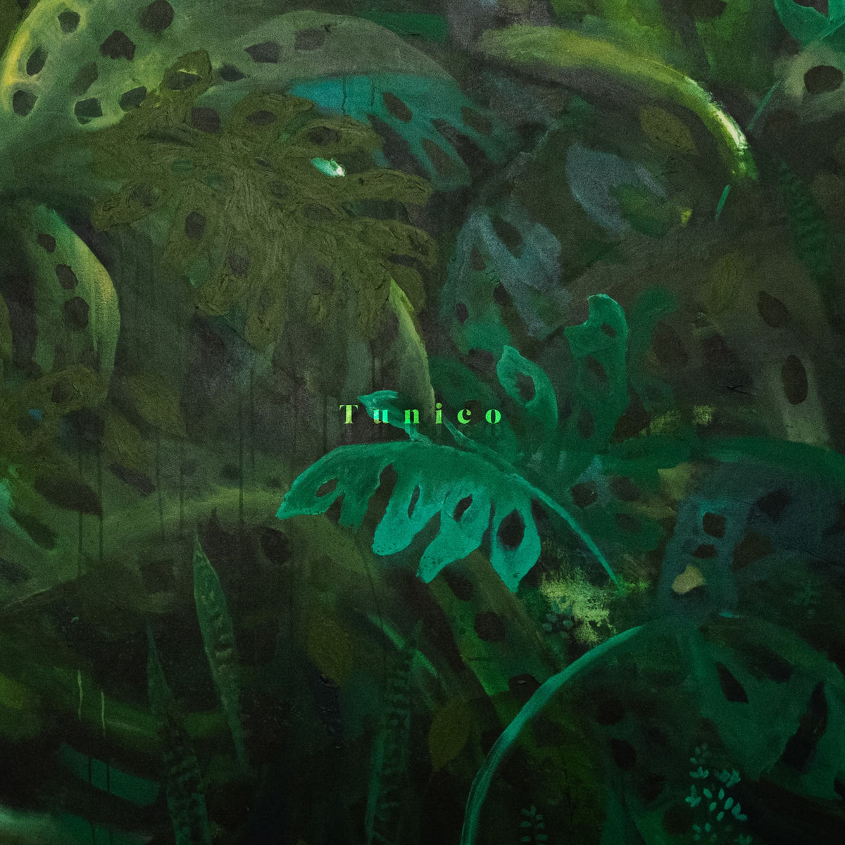 Tunico – Tunico vinyl record cover