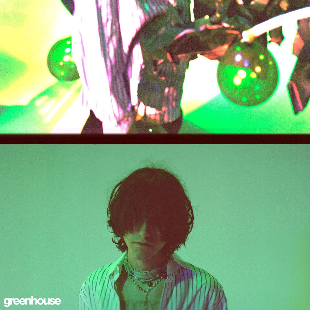 aldn – greenhouse vinyl cover