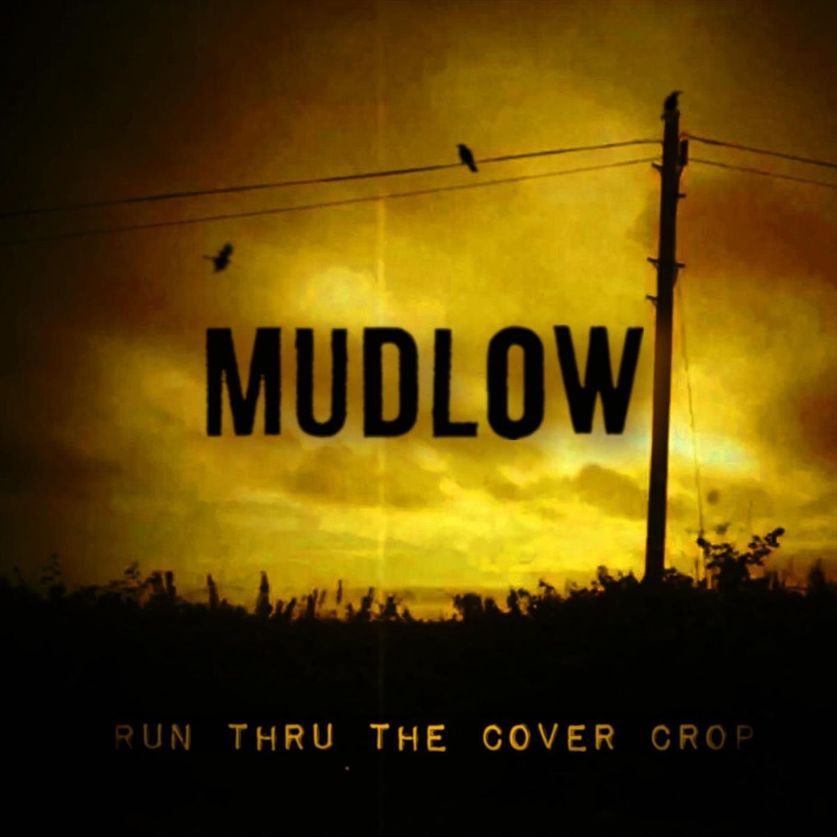 Mudlow – Run Thru the Cover Crop vinyl cover