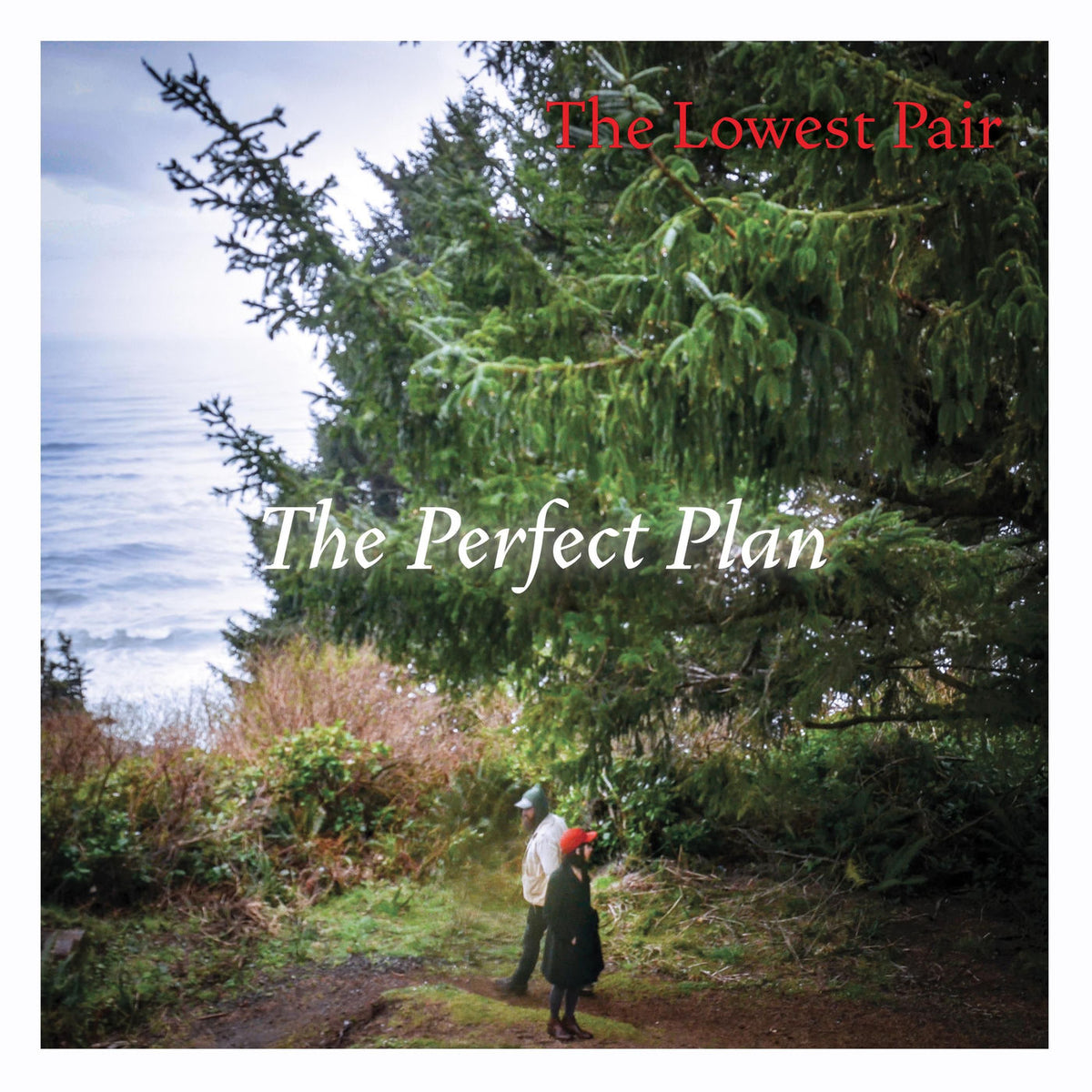 The Lowest Pair – The Perfect Plan vinyl record cover