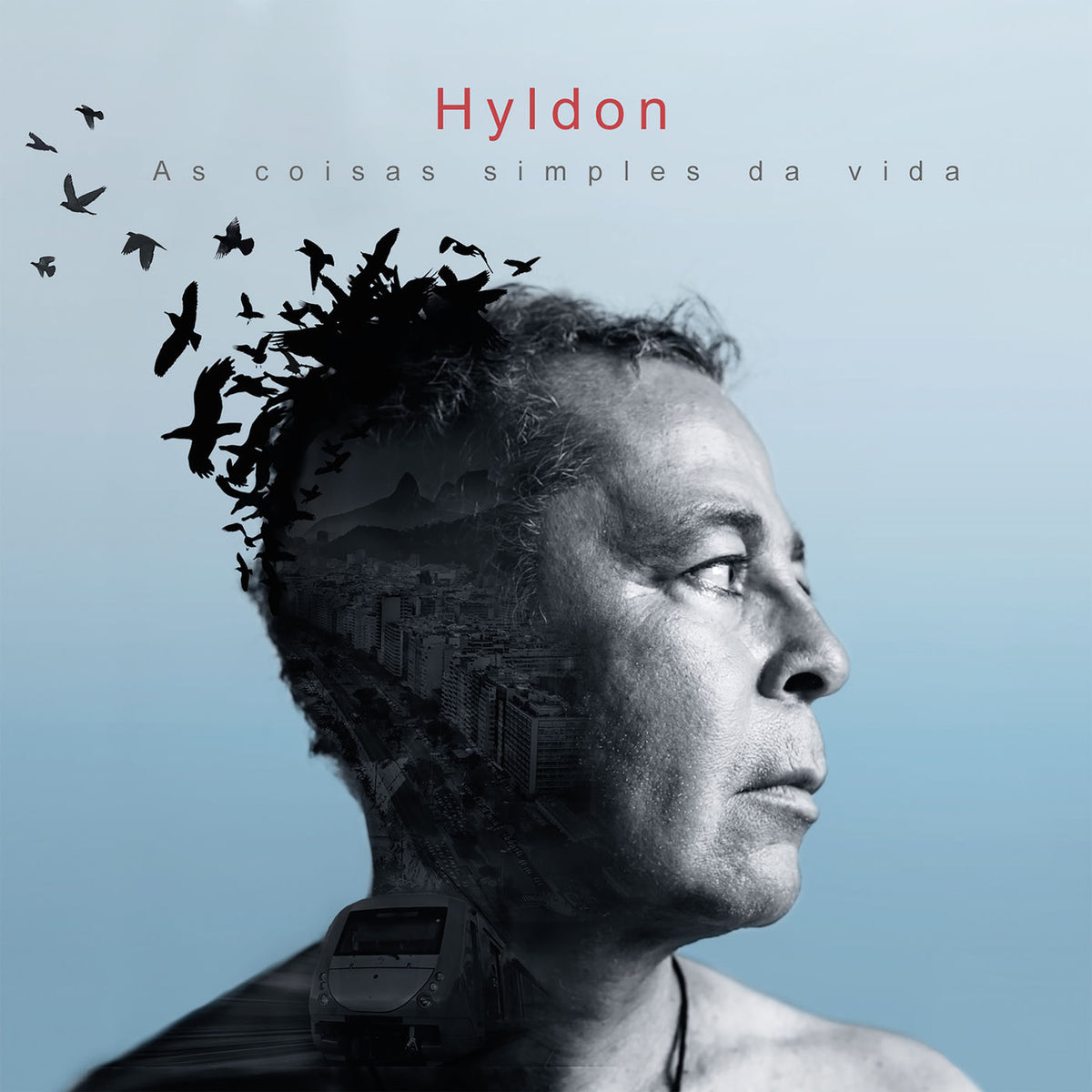 Hyldon – As Coisas Simples Da Vida vinyl record cover