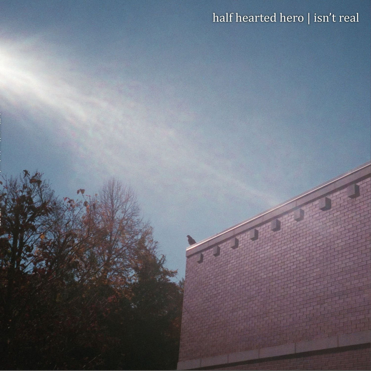 Half Hearted Hero – Isn't Real vinyl cover