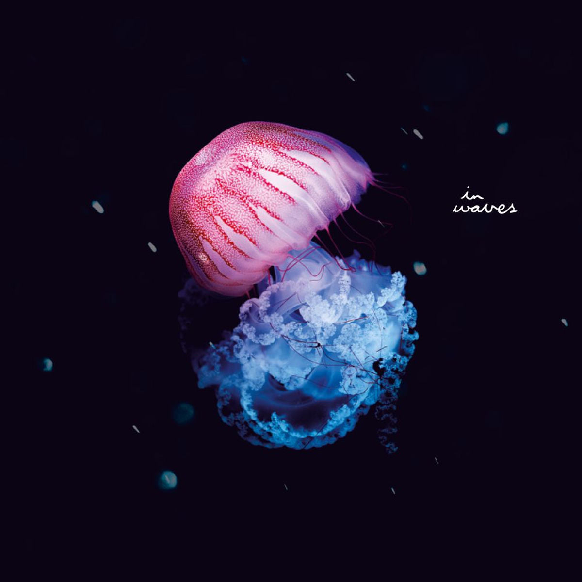 Draso – The Moment Is Forever — record image 1