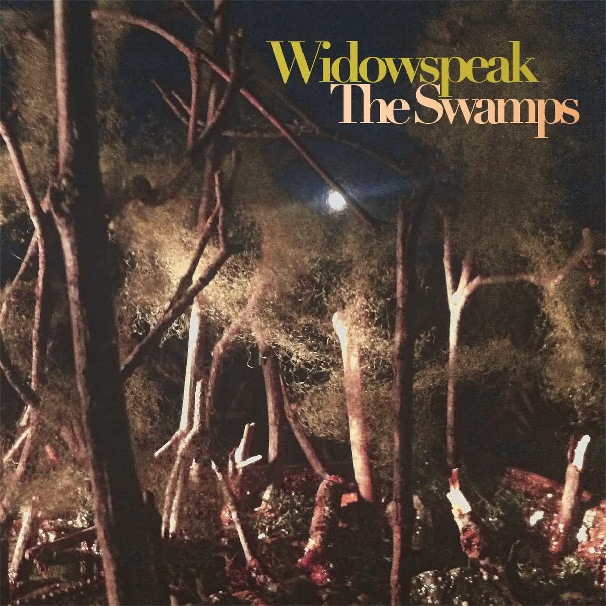 Widowspeak – The Swamps vinyl cover