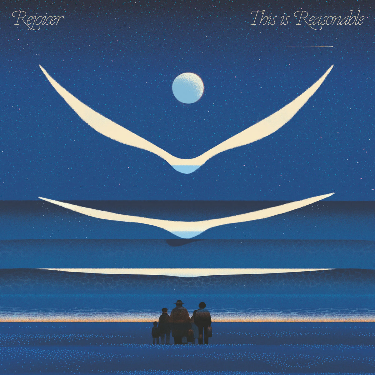 Rejoicer – This Is Reasonable vinyl record cover