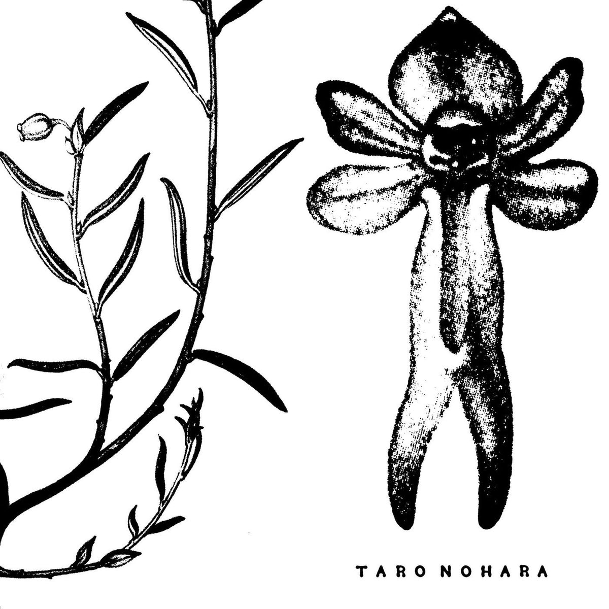 Taro Nohara – Poly-Time Soundscapes / Forest Of The Shrine vinyl cover