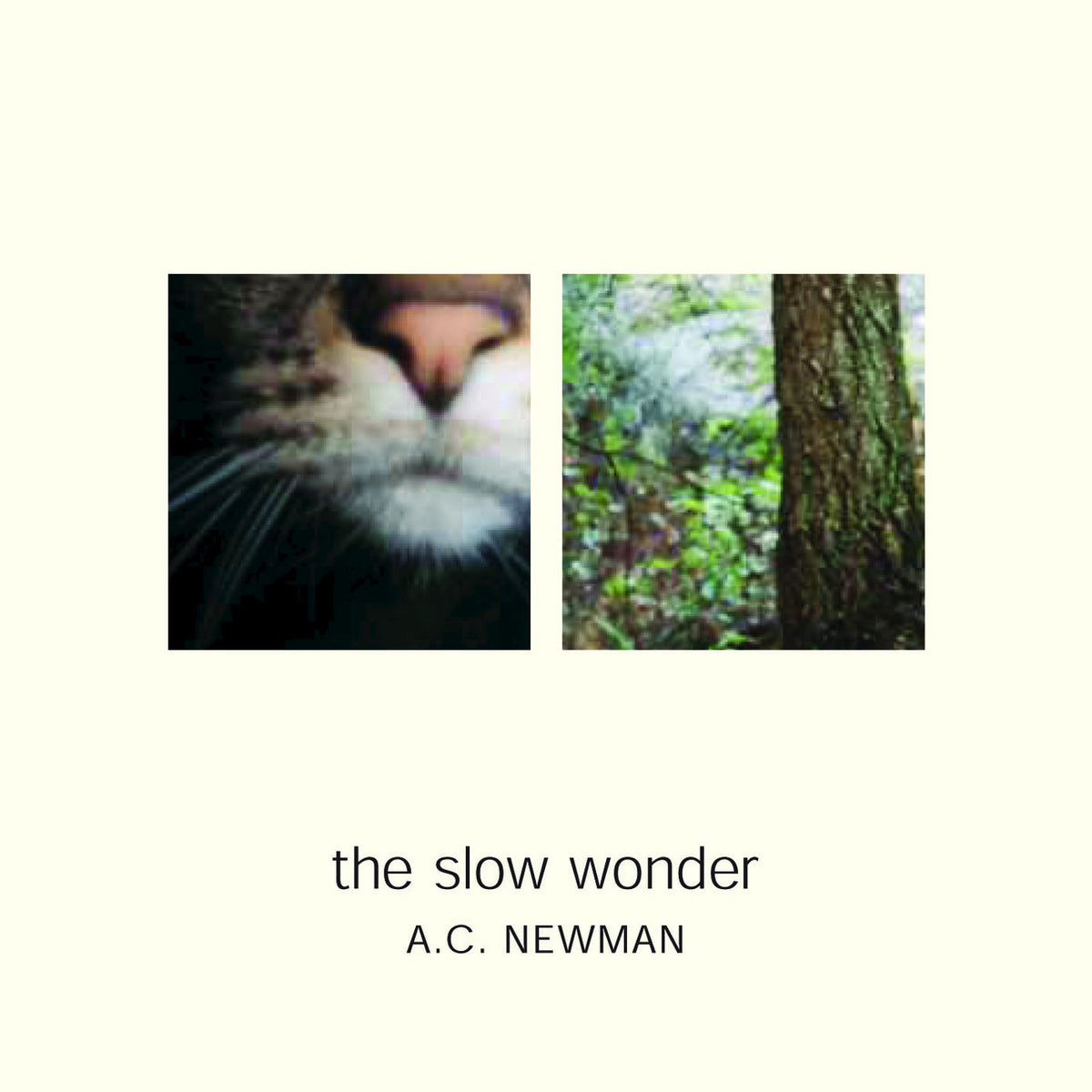 A.C. Newman – The Slow Wonder vinyl cover