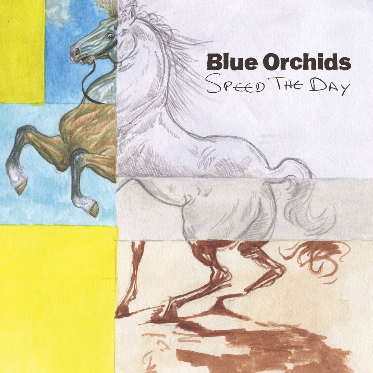 Blue Orchids – Speed The Day vinyl record cover