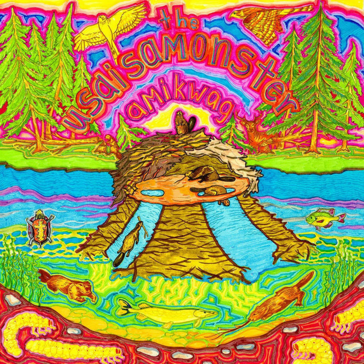 The Usaisamonster – Amikwag vinyl record cover