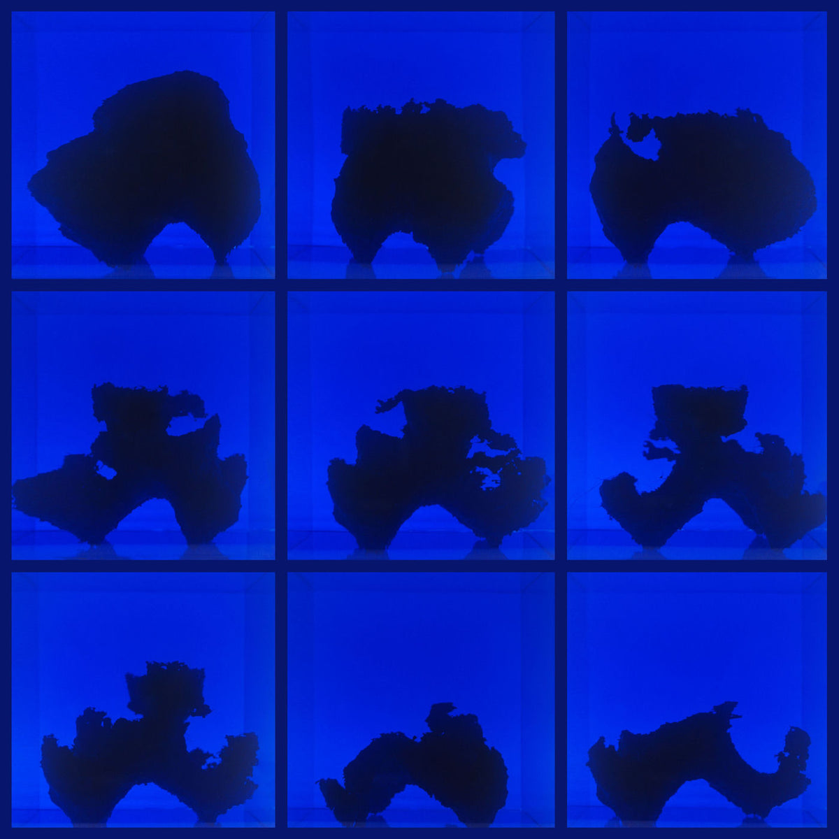 Birth (Defects) – Fictional Days vinyl record cover