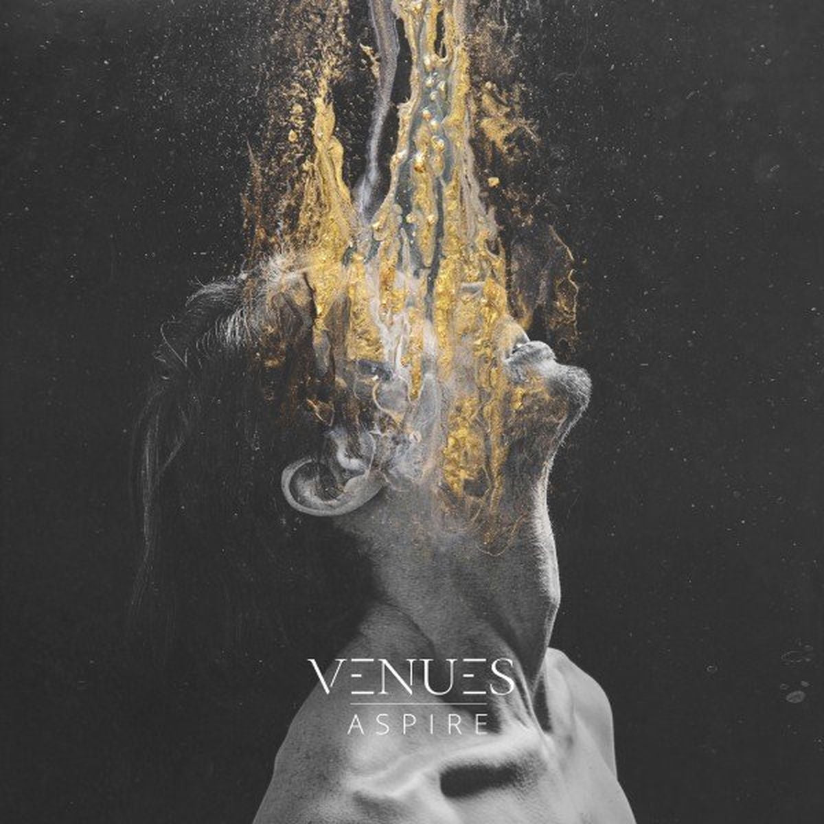 Venues – Aspire vinyl record cover