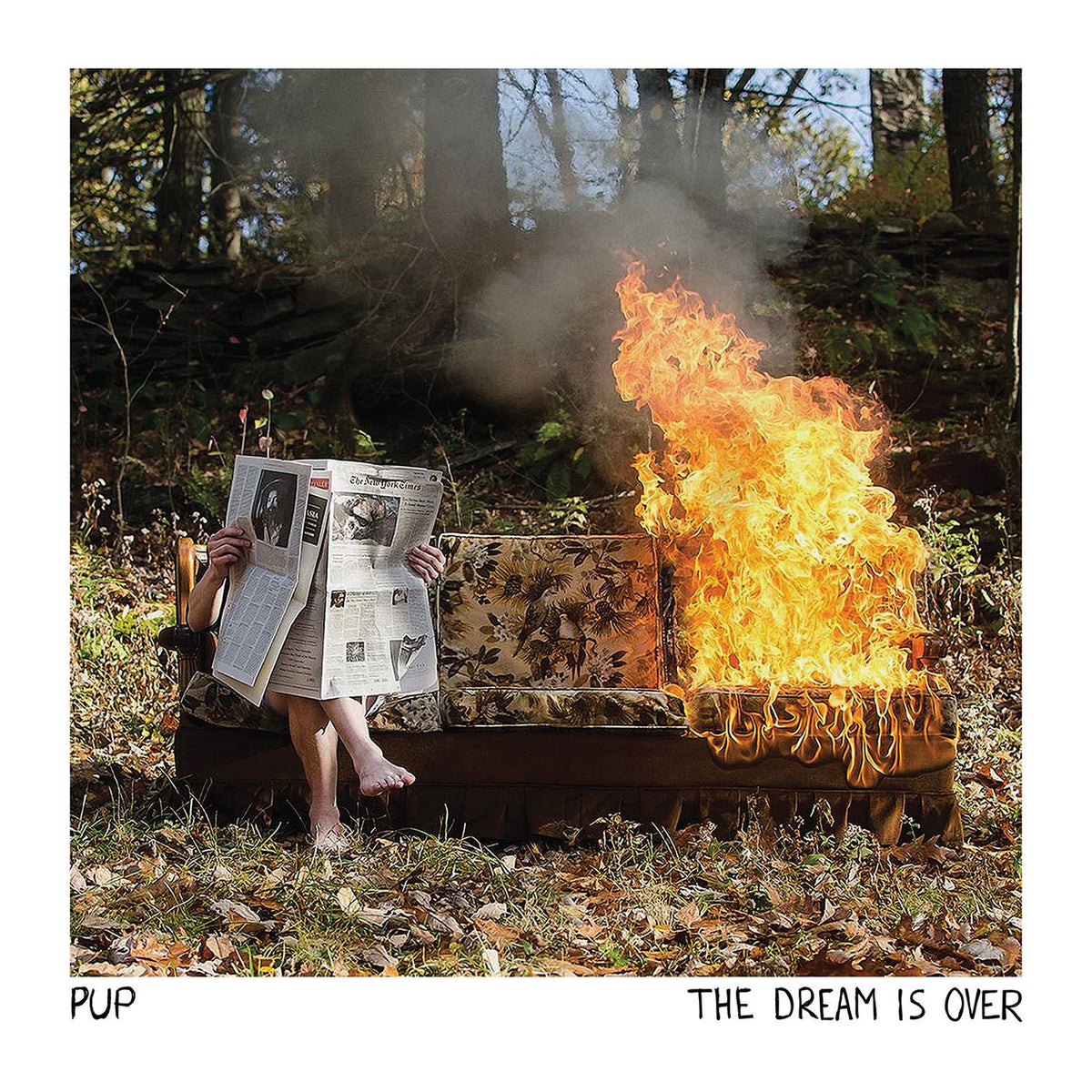 Pup – Dream Is Over (Coloured Vinyl) vinyl record cover