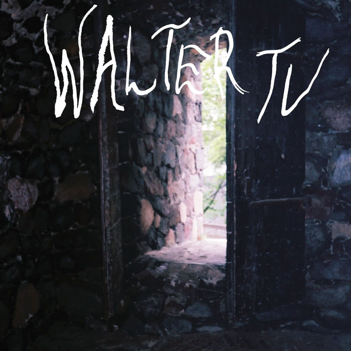 Walter TV – Blessed vinyl record cover