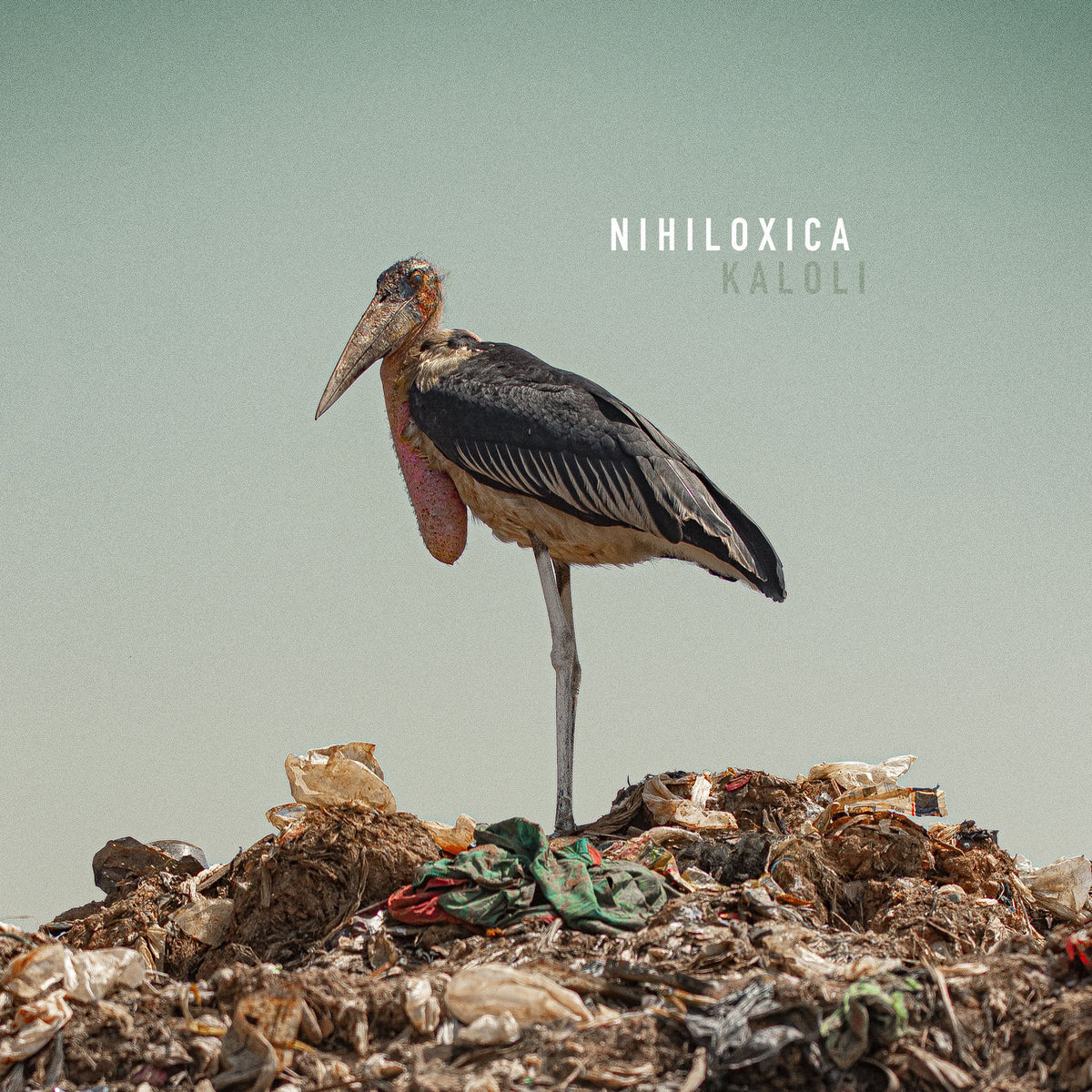 Nihiloxica – Kaloli vinyl record cover