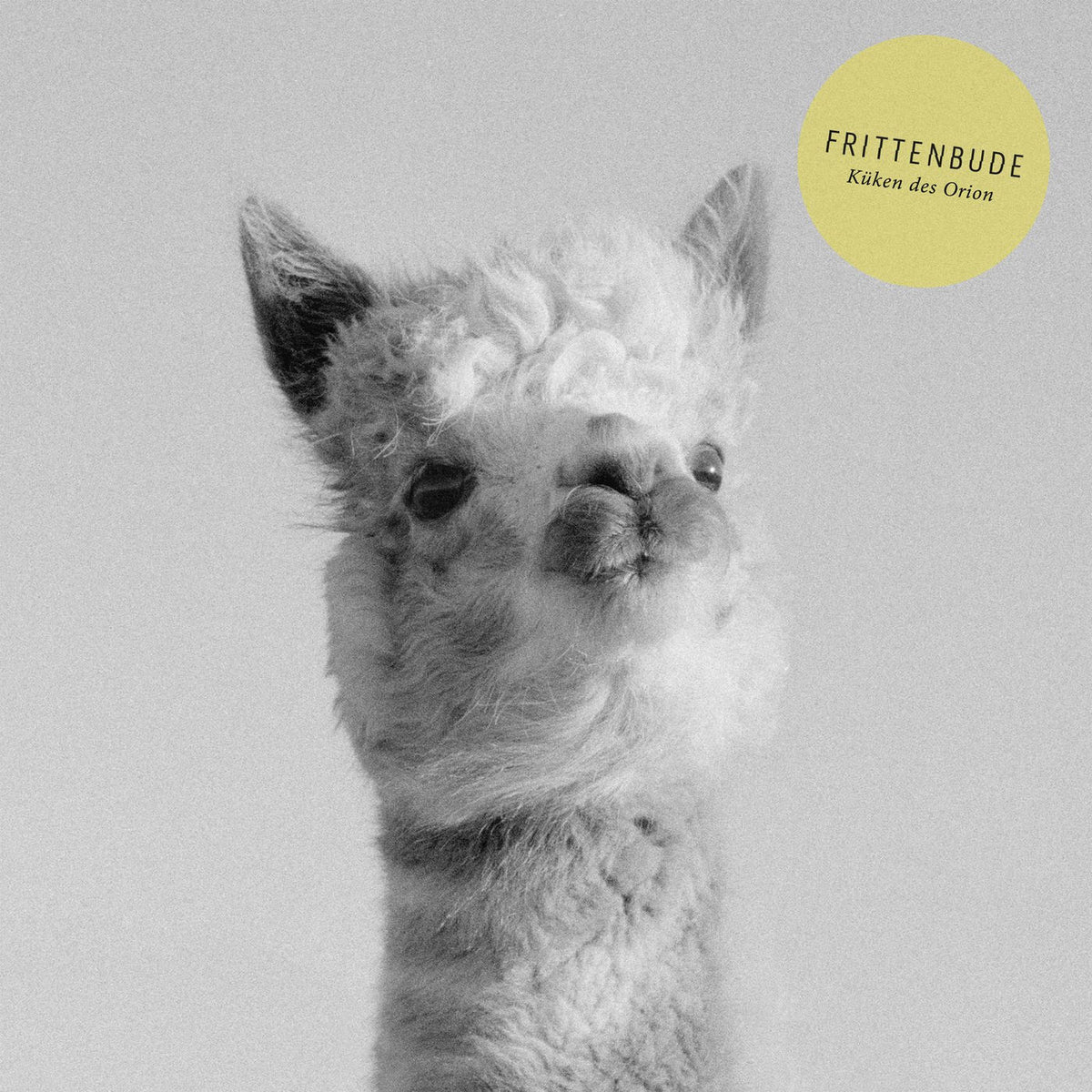 Frittenbude – Kalken Des Orion (+ DOWNLOAD) vinyl record cover