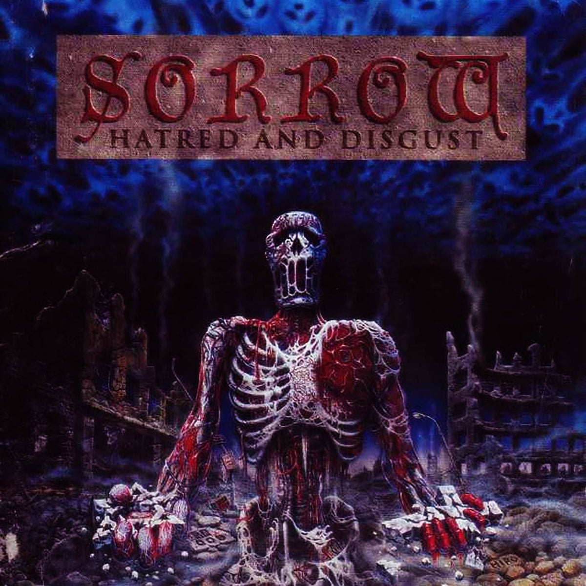 Sorrow – Hatred and Disgust (Remastered Edition) vinyl record cover