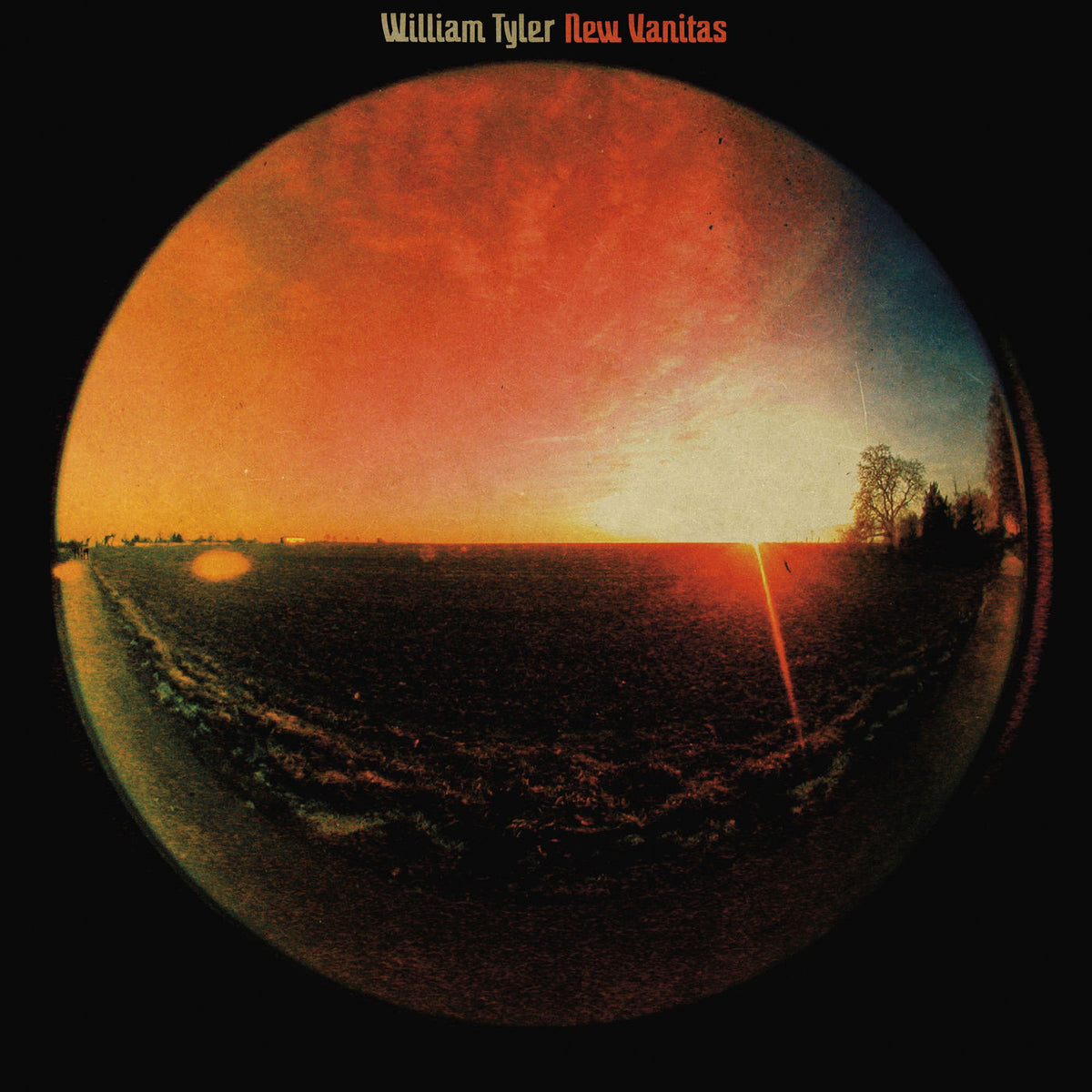 William Tyler – New Vanitas vinyl cover