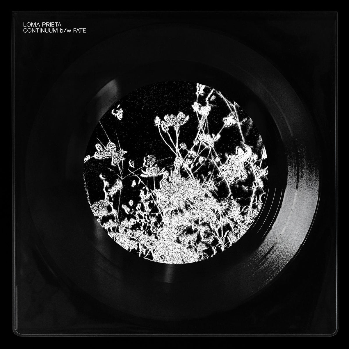 Loma Prieta – Continuum B/W Fate vinyl cover