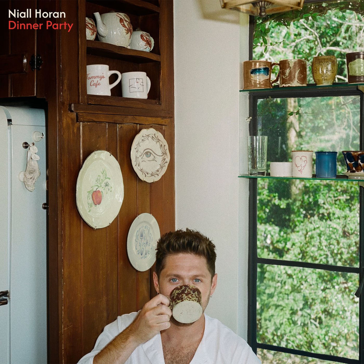 Niall Horan – Dinner Party(Porcelain Vinyl / Signed Insert) (Indies) vinyl record cover