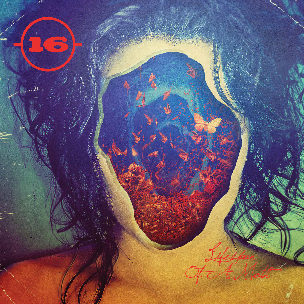 16 – Lifespan of a Moth vinyl record cover