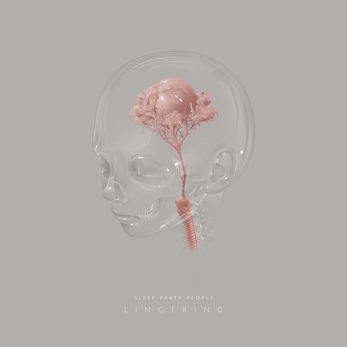 Sleep Party People – Lingering vinyl record cover