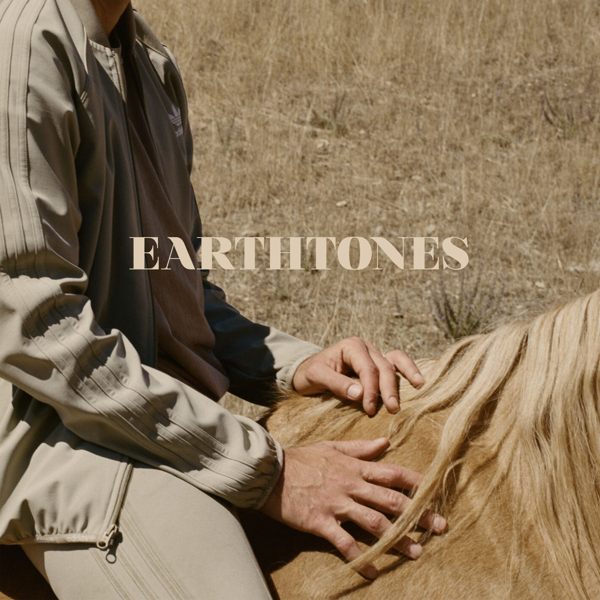 Bahamas – Earthtones vinyl record cover